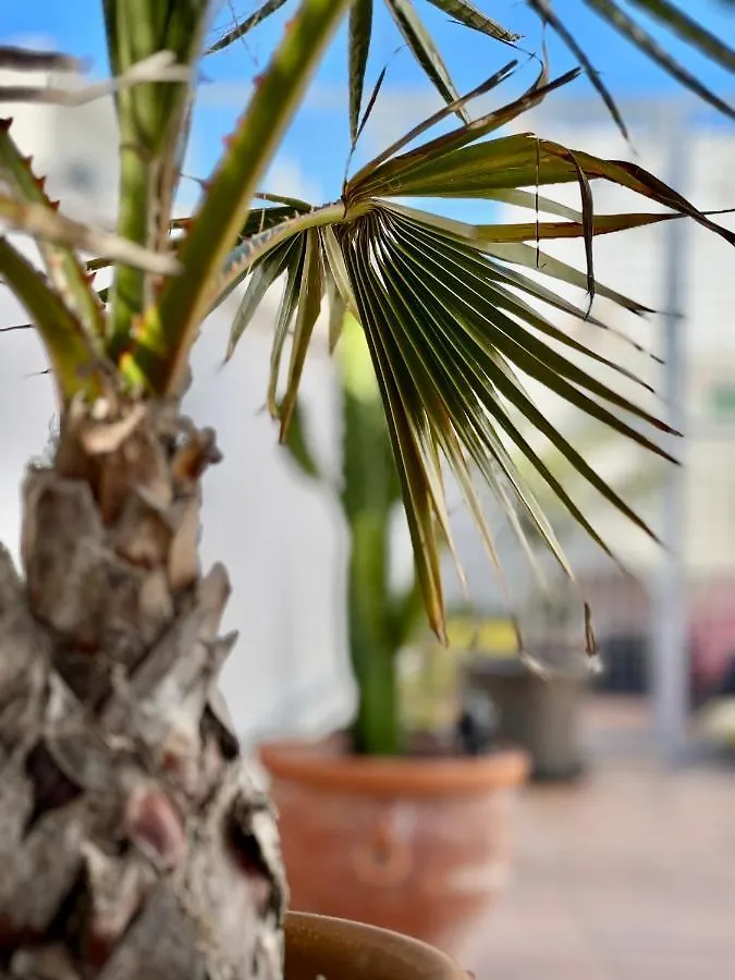 Apartamento La Terraza De Porvenir 10 - Jerez De La Frontera