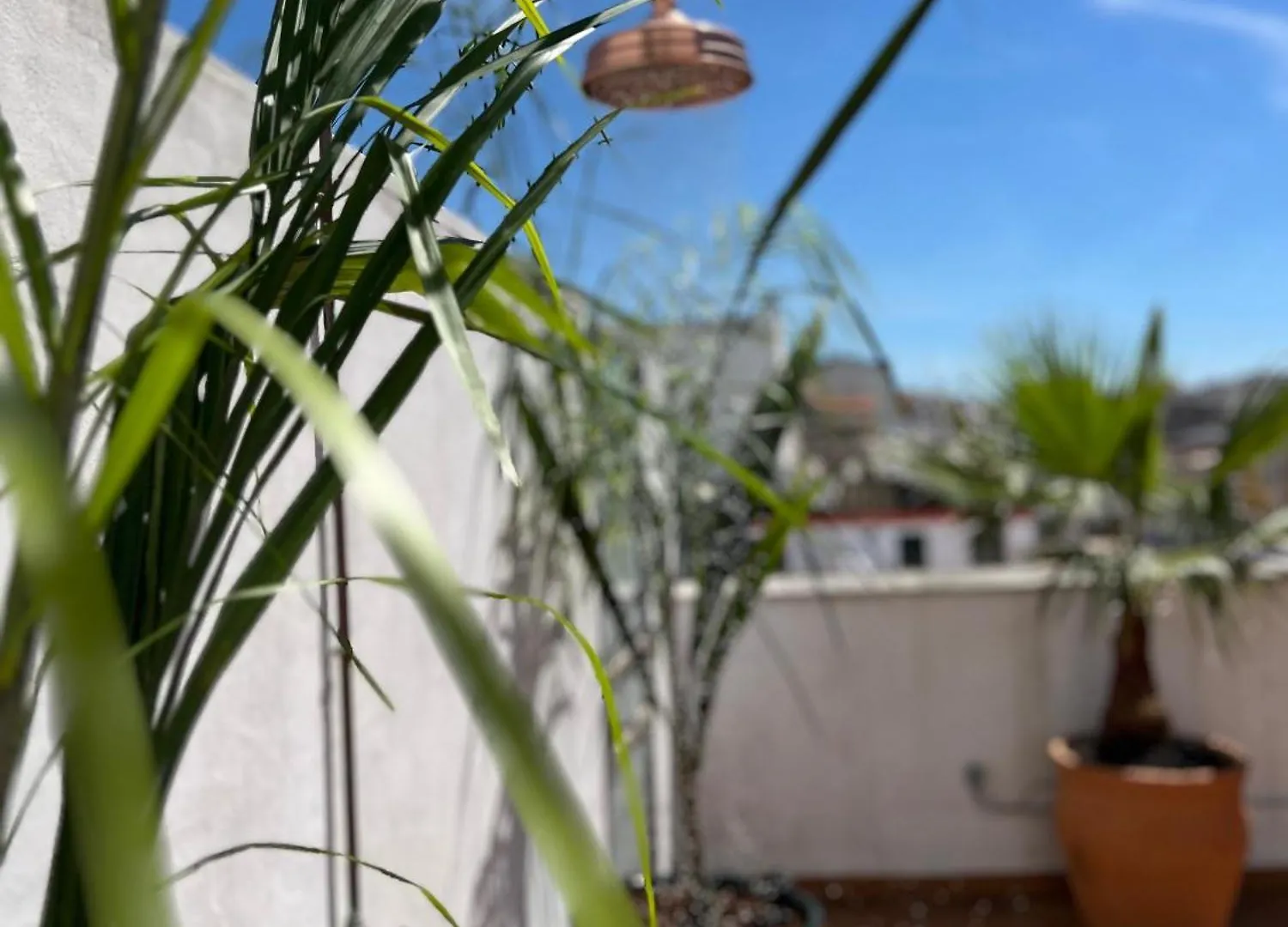 Apartamento La Terraza De Porvenir 10 - Jerez De La Frontera